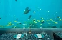 H2O Underwater restaurant, You & Me Maldives